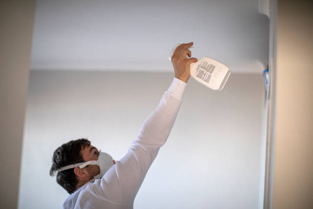Best Attic Mold Removal  in Budd Lake, NJ