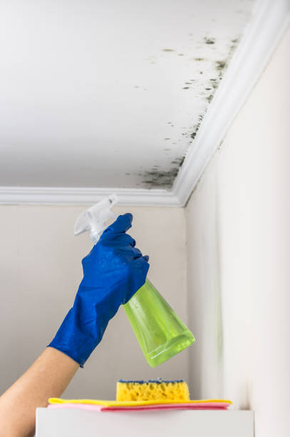 Crawl Space Mold Removal in Budd Lake, NJ